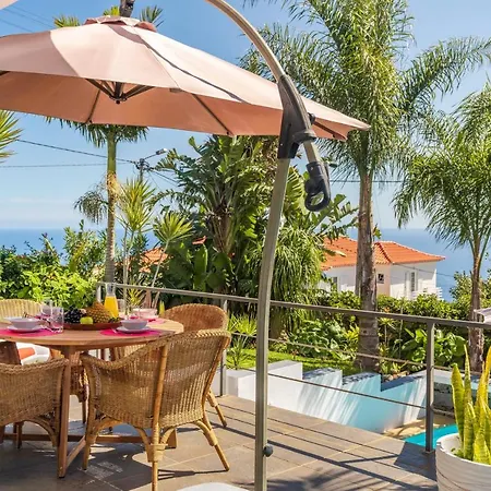 Hibiscus By An Island