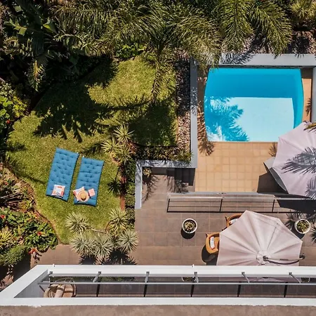 Hibiscus By An Island *