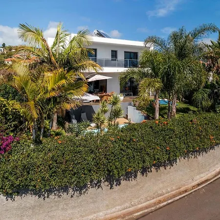 Hibiscus By An Island Calheta