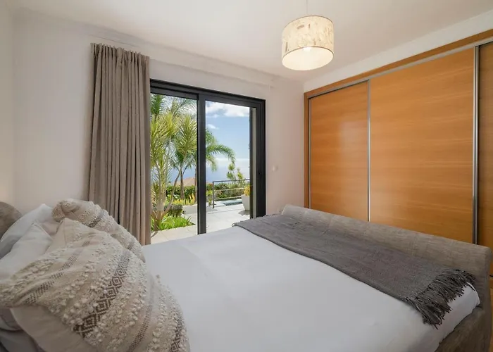 Hibiscus By An Island 卡列塔