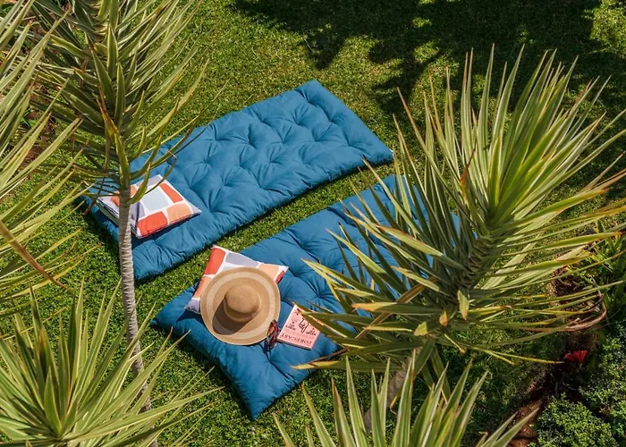 Hibiscus By An Island *