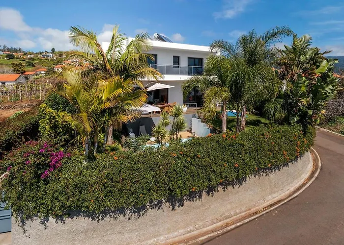 Hibiscus By An Island 卡列塔