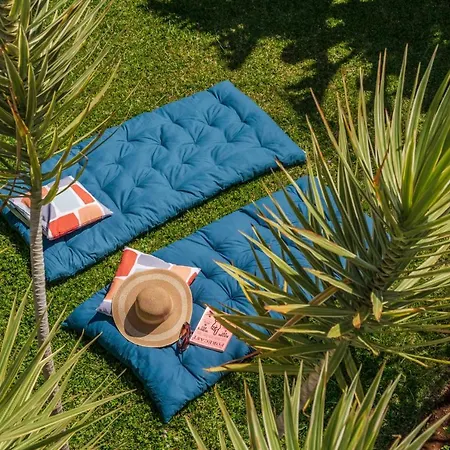 Hibiscus By An Island *