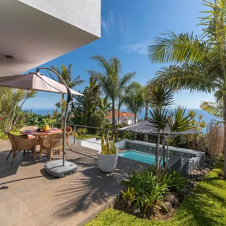 Hibiscus By An Island Calheta (Madeira)