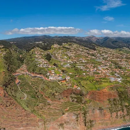 Hibiscus By An Island * Calheta (Madeira)