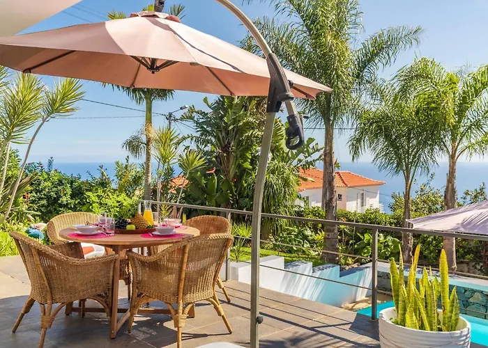 Hibiscus By An Island