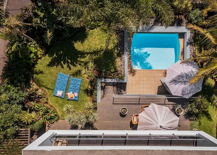 Hibiscus By An Island *