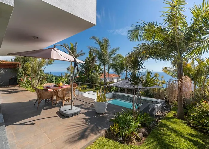 Hibiscus By An Island Calheta (Madeira)